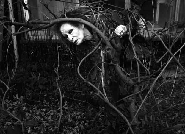 Interpretive - Eikoh Hosoe